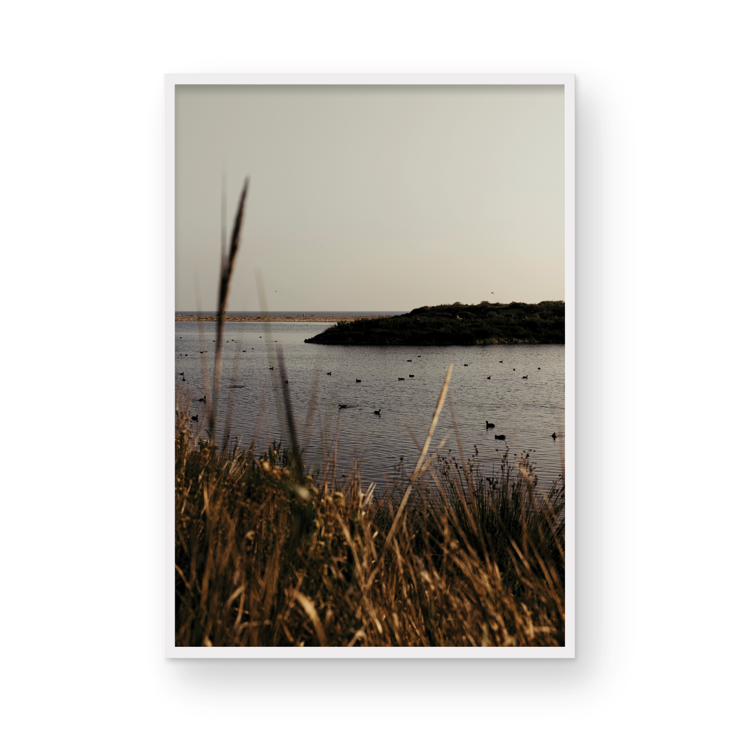 Malibu Lagoon, One