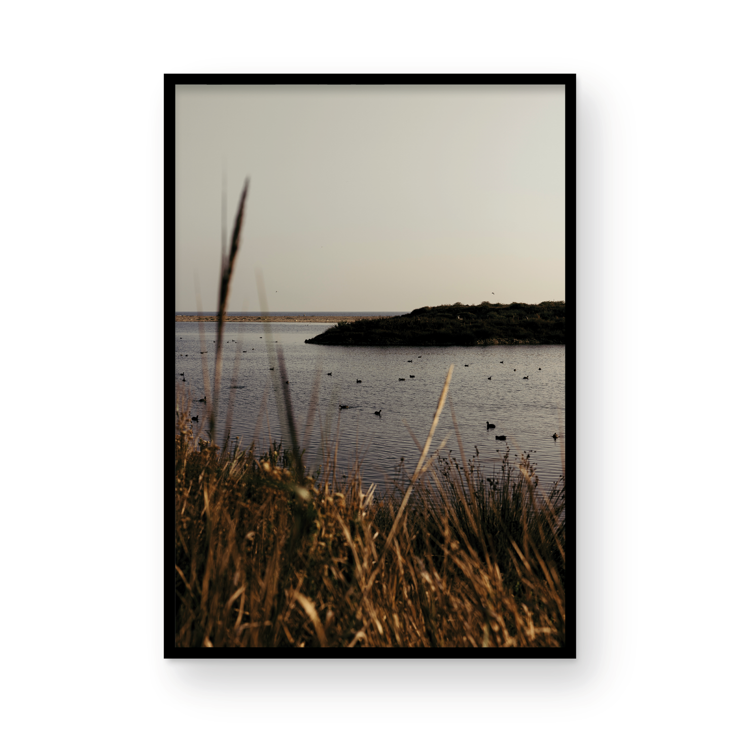 Malibu Lagoon, One