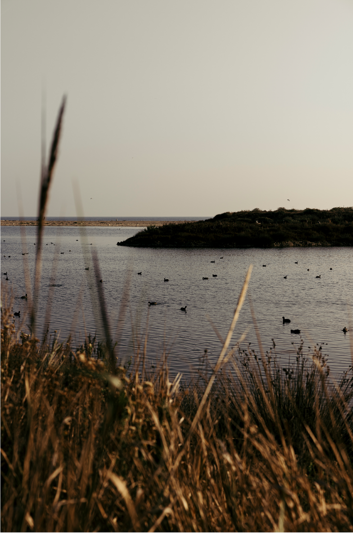 Malibu Lagoon, One