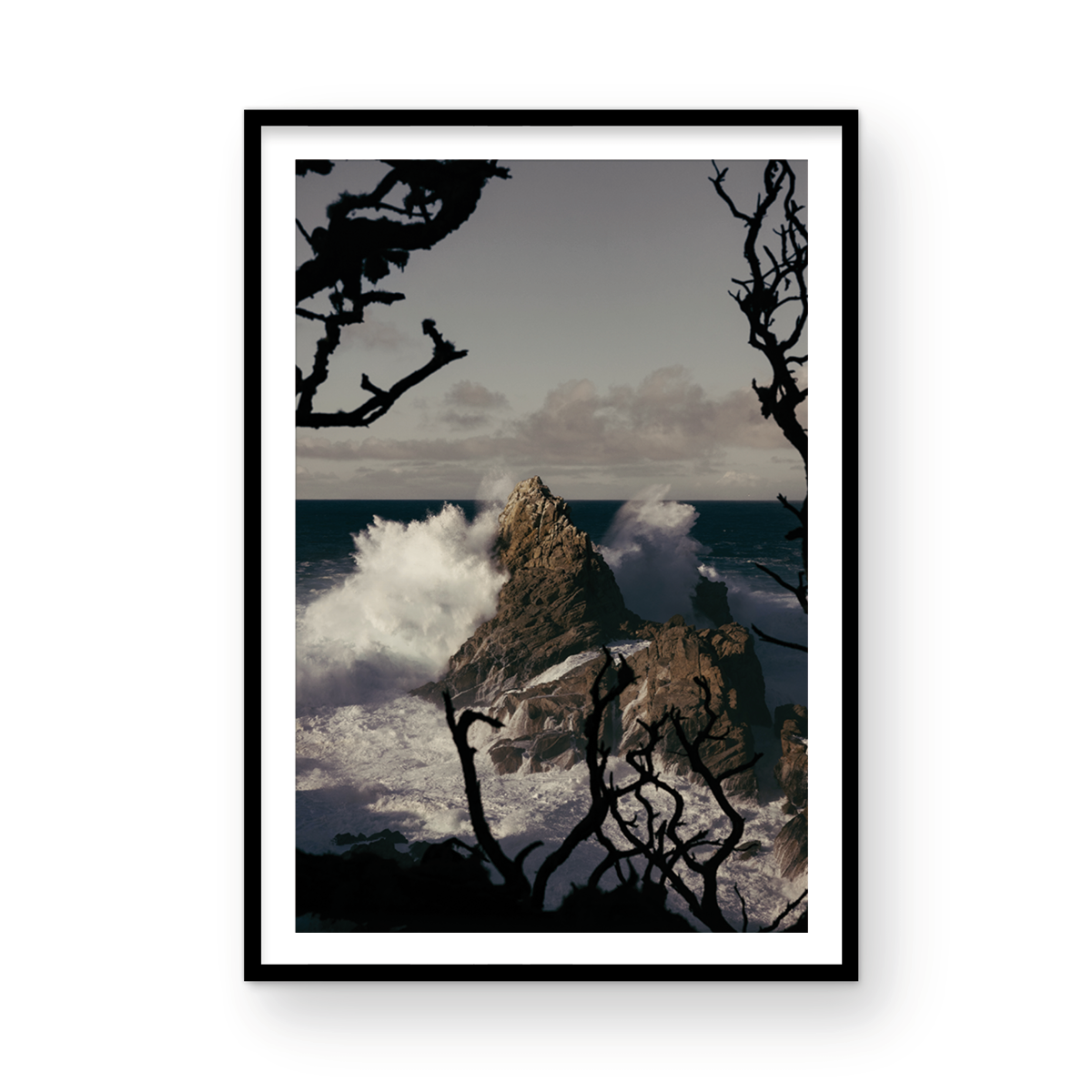 Point Lobos, Two