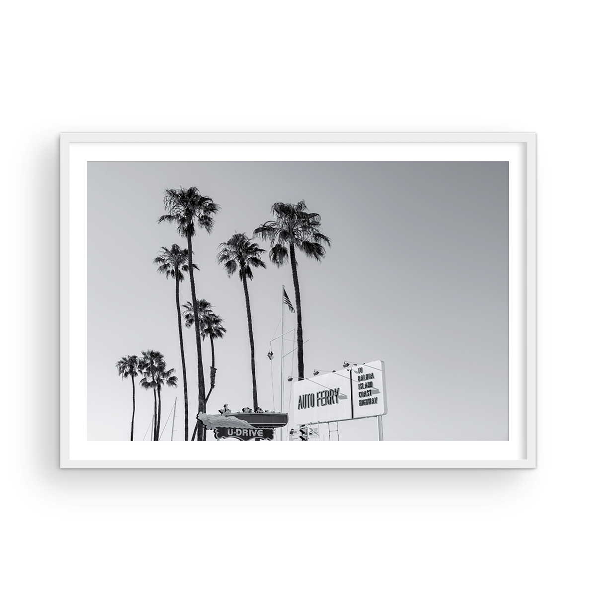 Fun Zone, Two: Monochrome