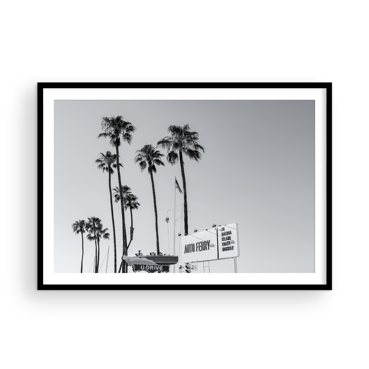 Fun Zone, Two: Monochrome