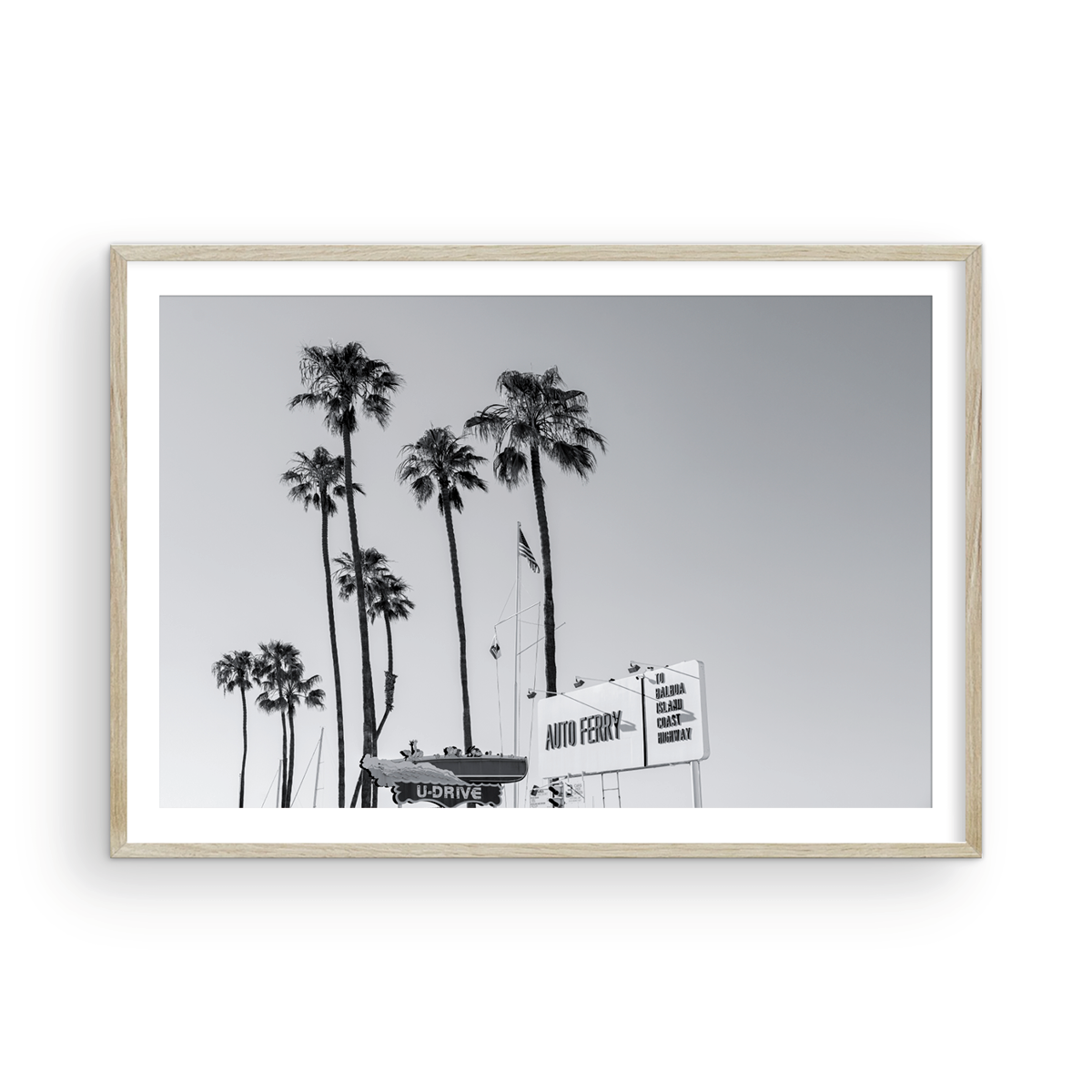 Fun Zone, Two: Monochrome