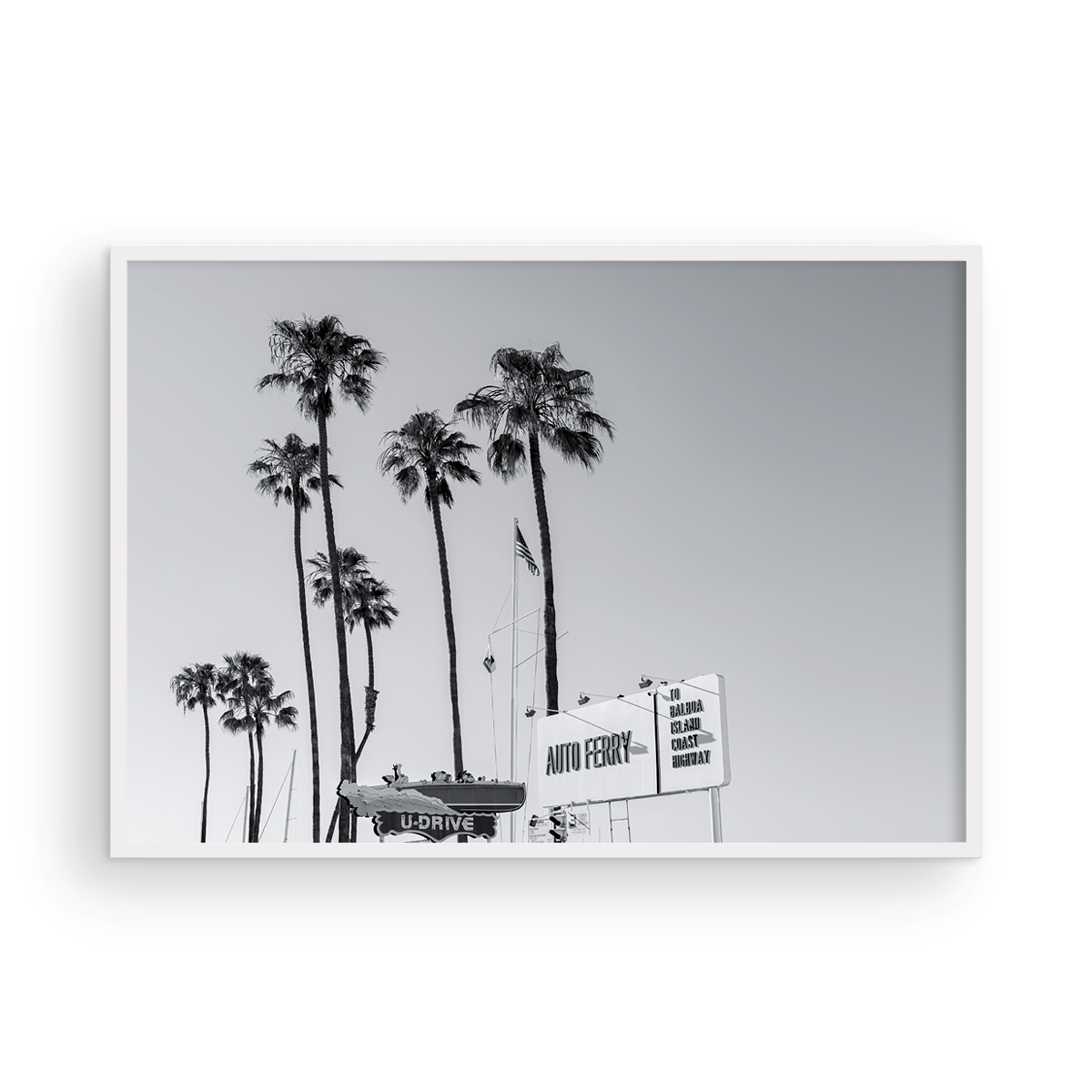 Fun Zone, Two: Monochrome