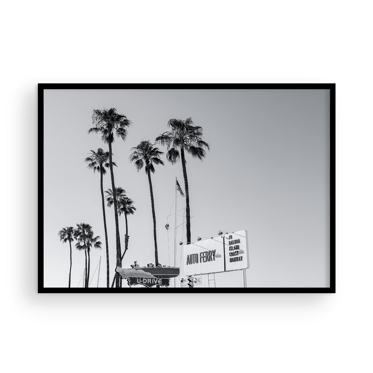 Fun Zone, Two: Monochrome