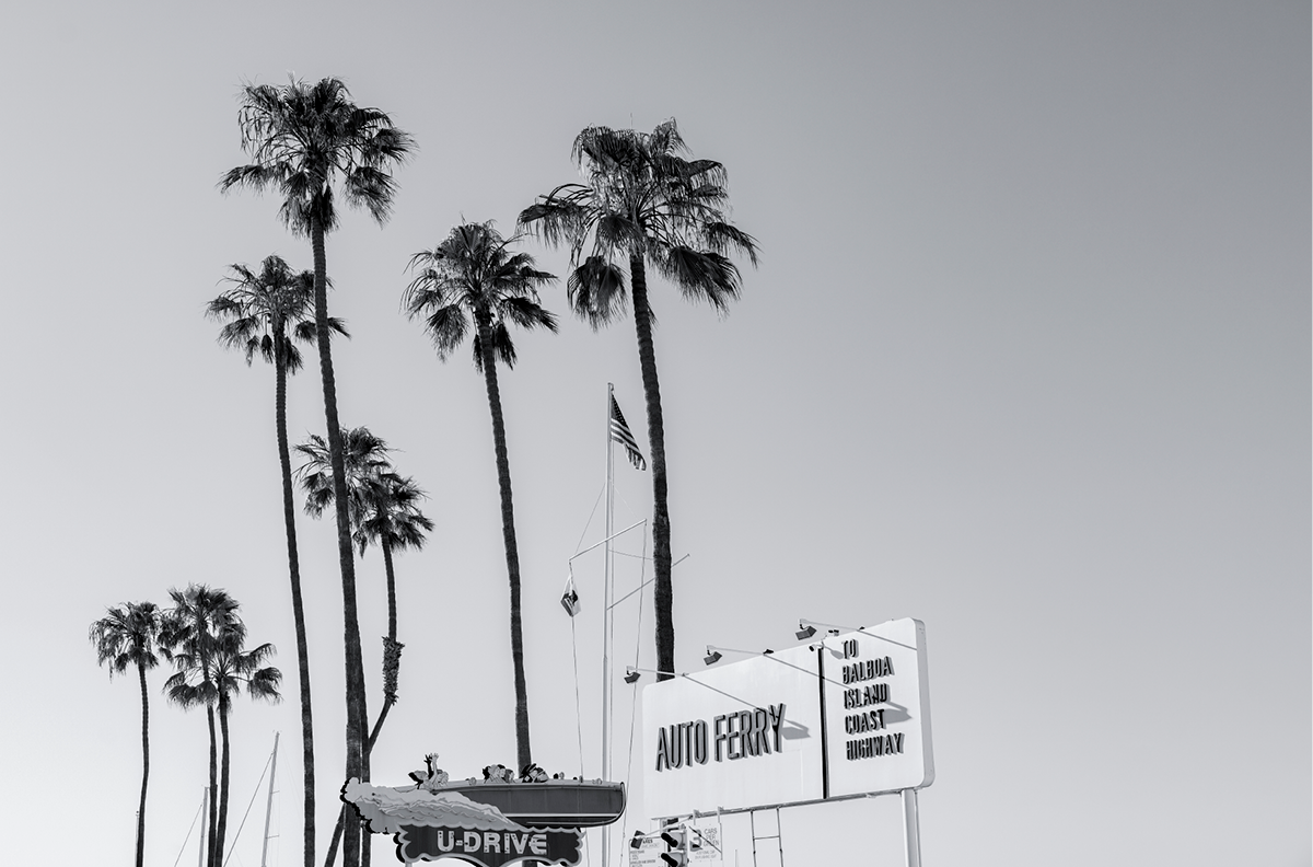 Fun Zone, Two: Monochrome