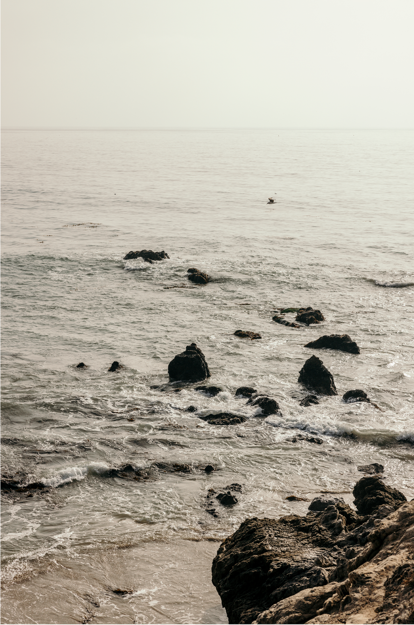 Leo Carrillo, Five