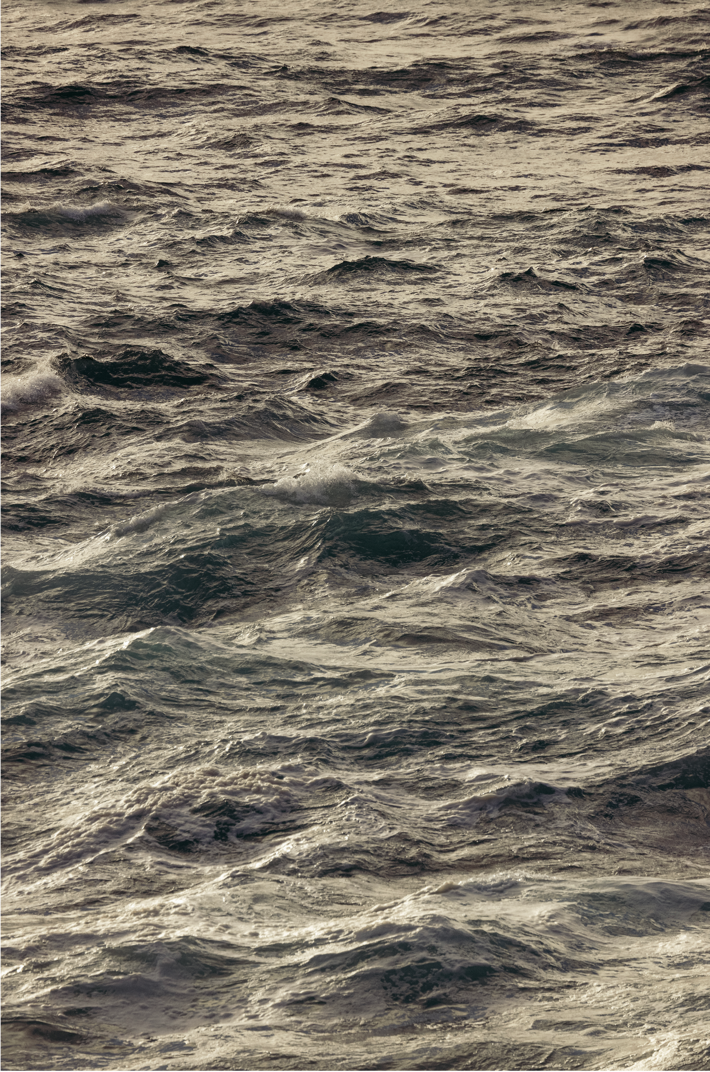 Winter Swell, Thirteen