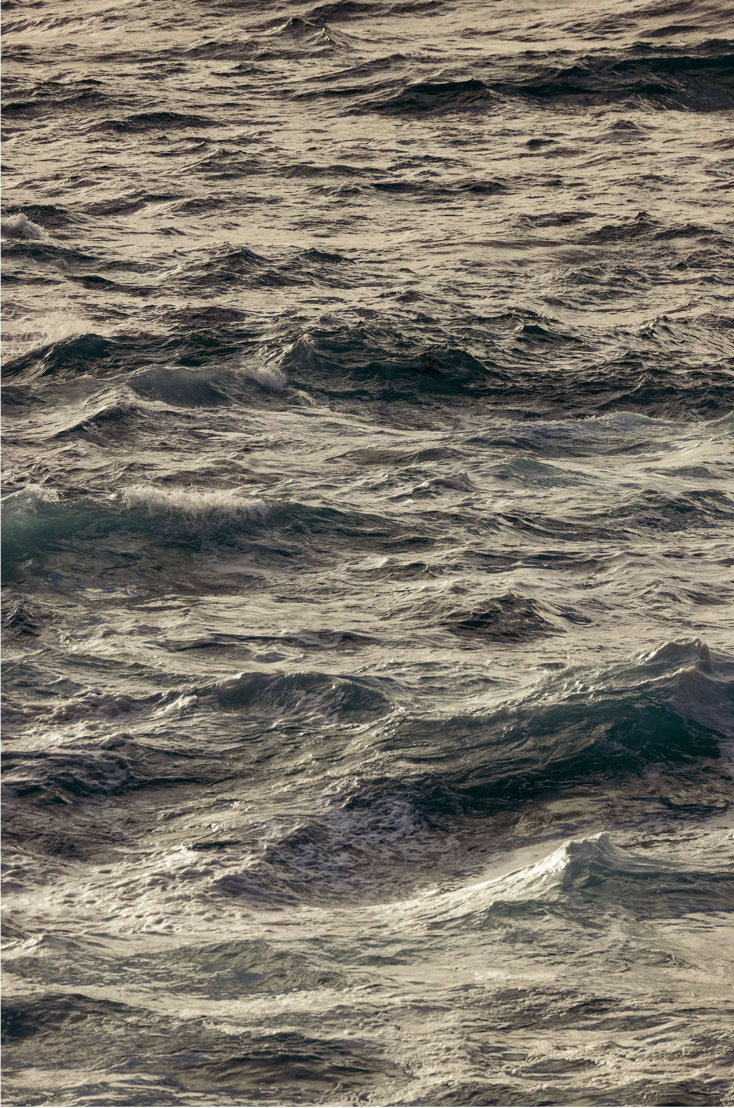 Winter Swell, Fourteen