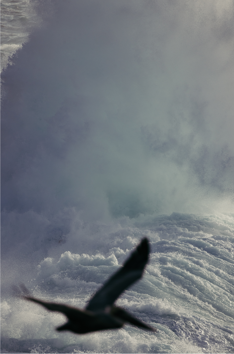 Winter Swell, Six