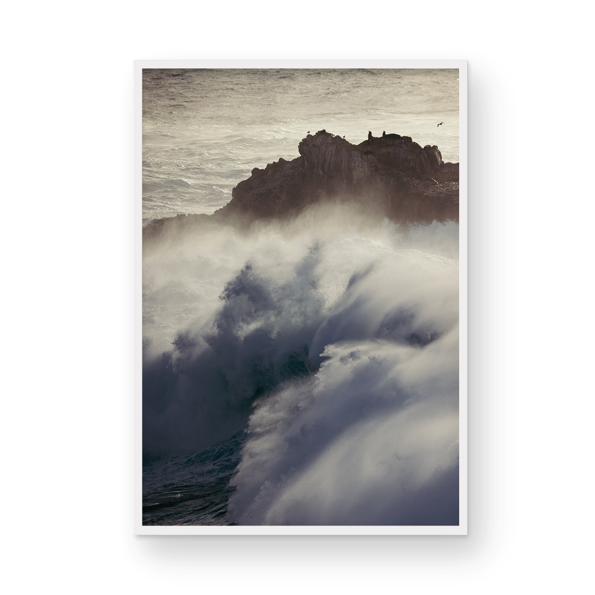 Winter Swell, Eight
