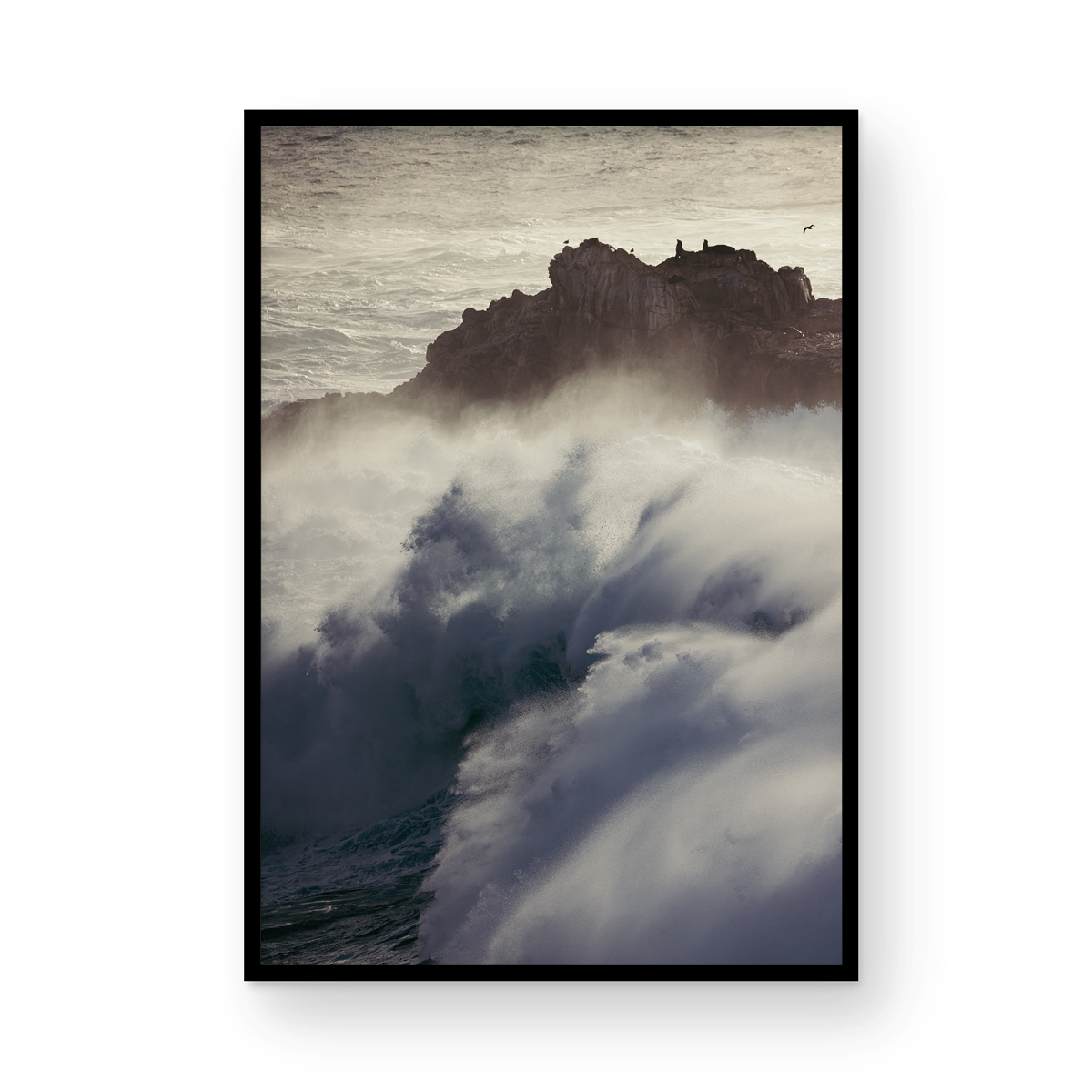 Winter Swell, Eight
