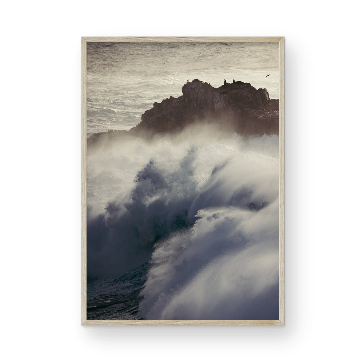 Winter Swell, Eight