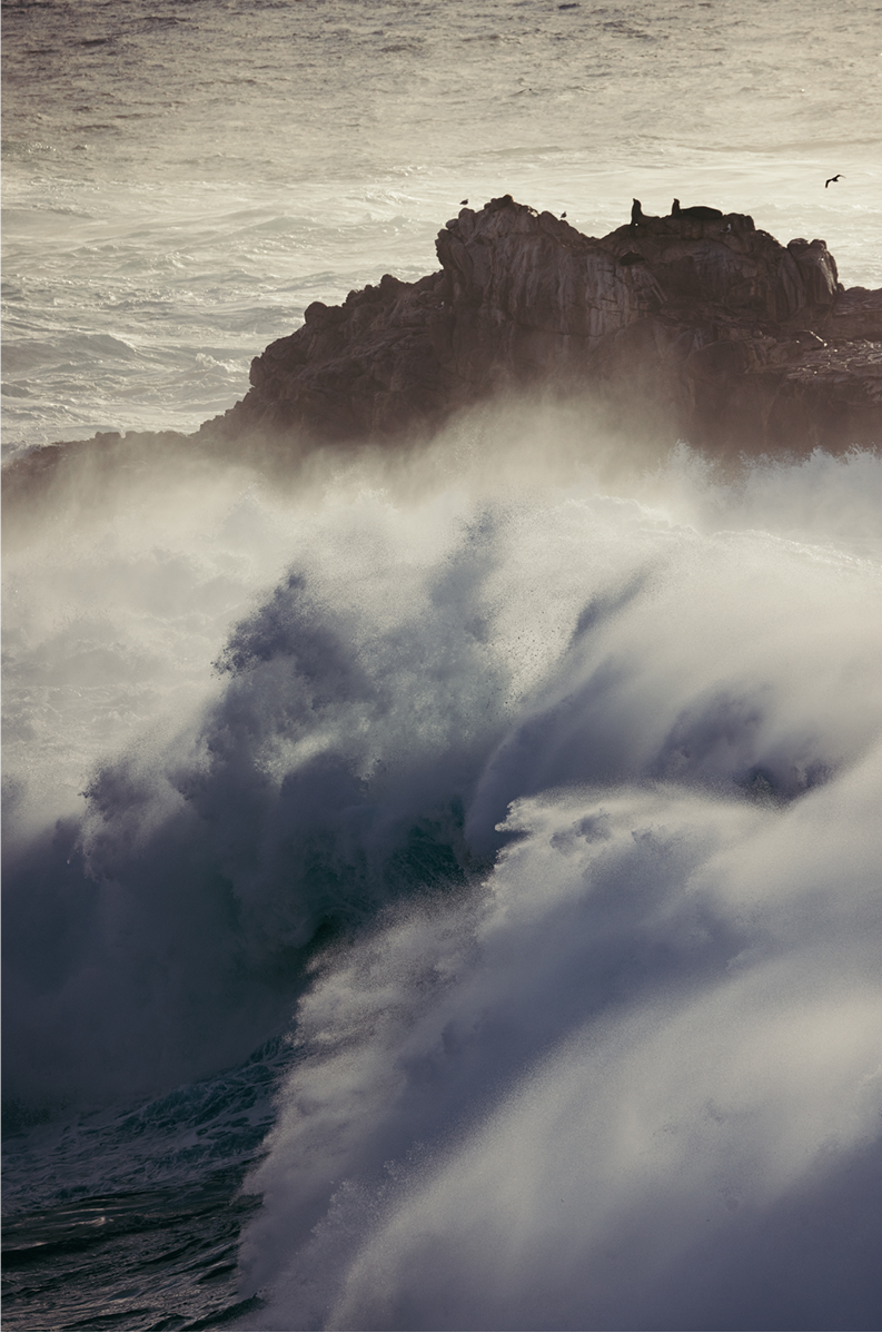 Winter Swell, Eight