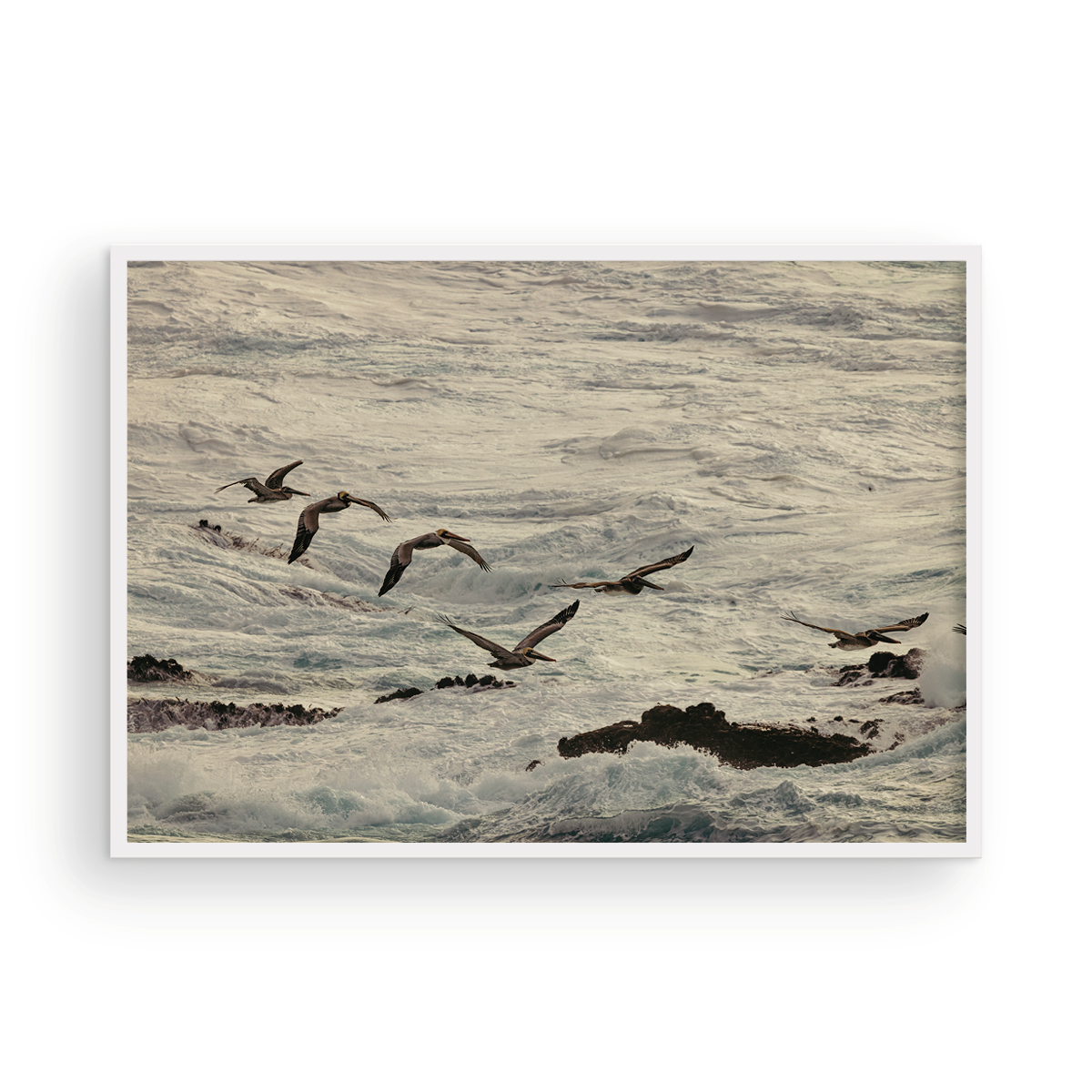 Winter Swell, Nine