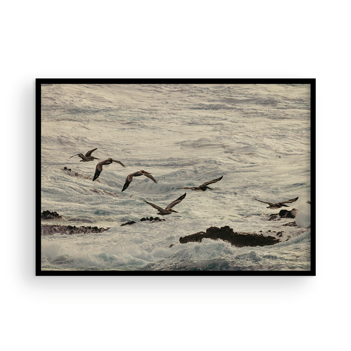 Winter Swell, Nine