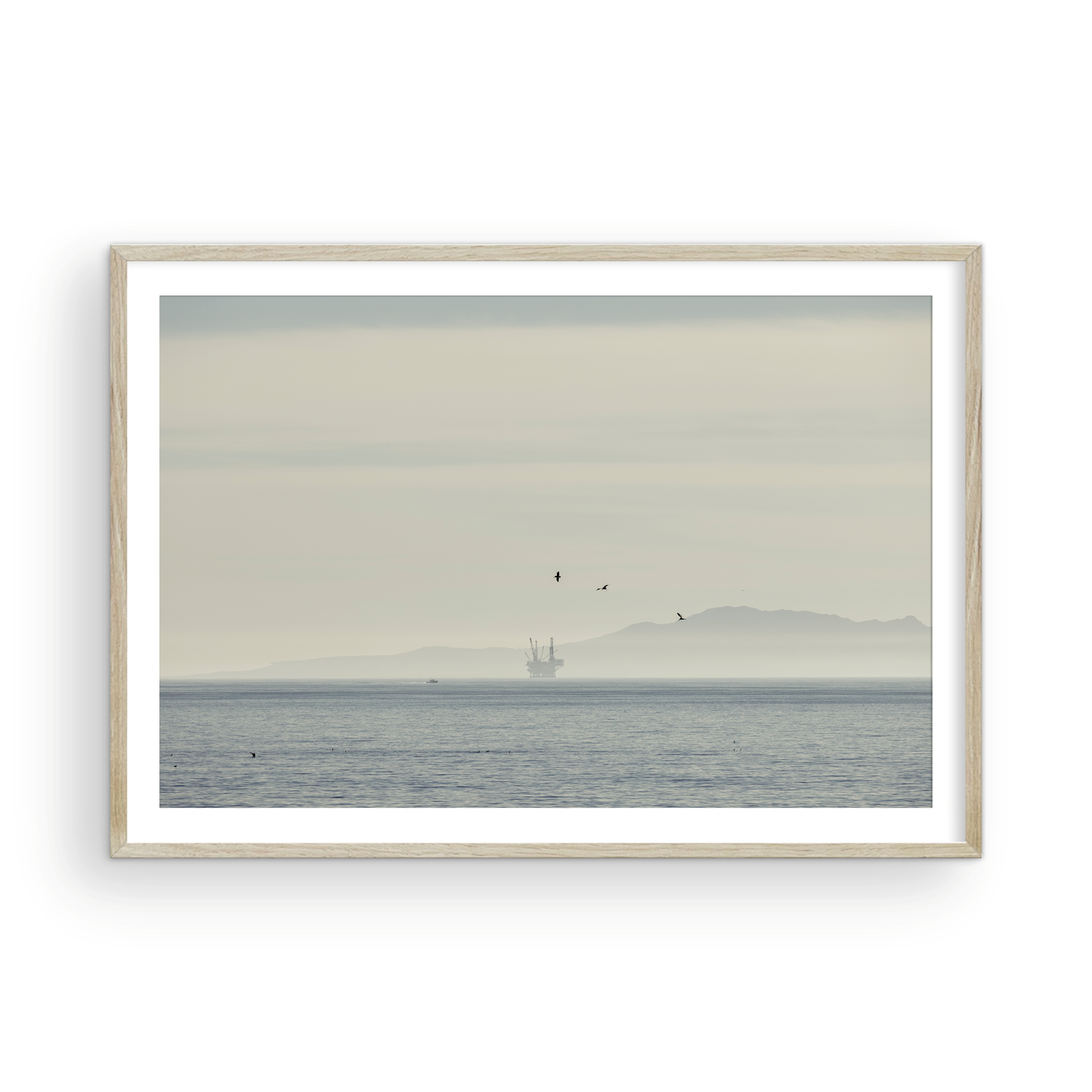 Channel Island, One