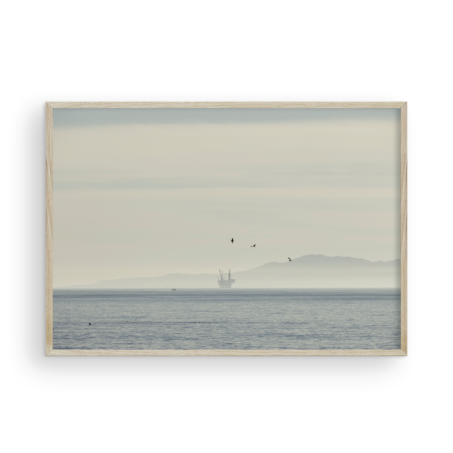 Channel Island, One
