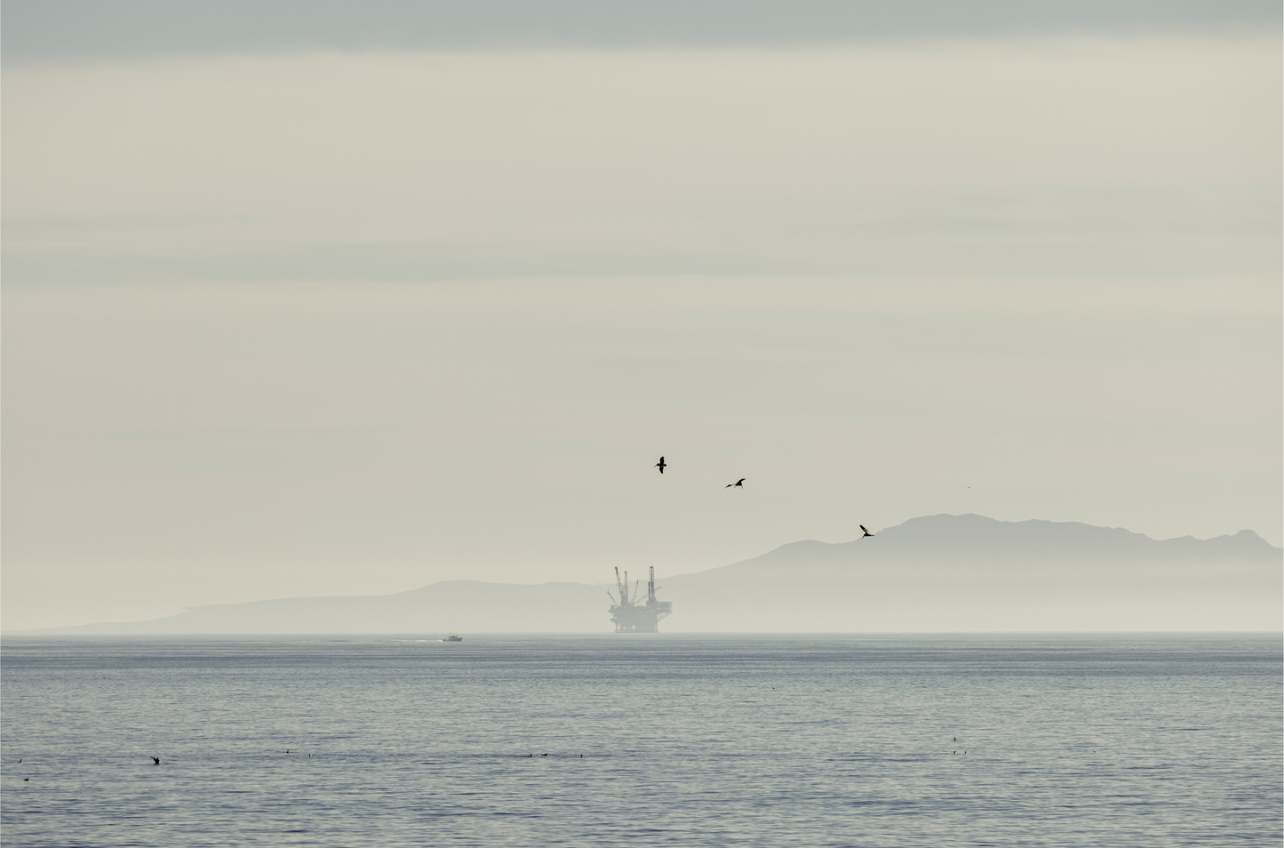 Channel Island, One