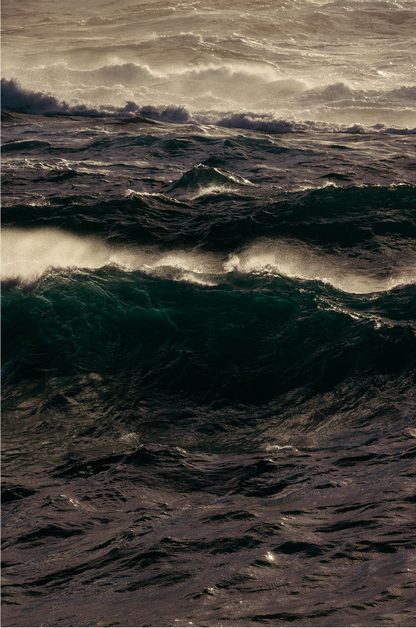 Winter Swell, Eleven