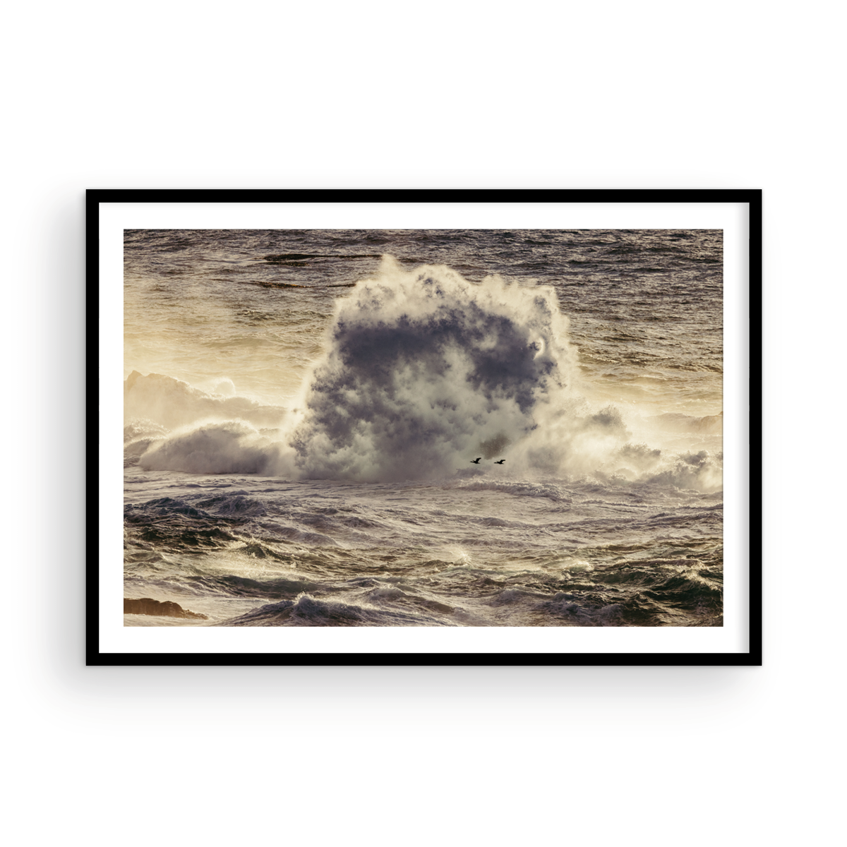 Winter Swell, Ten