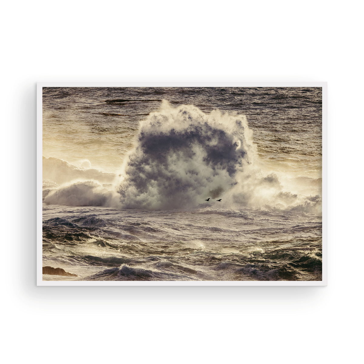Winter Swell, Ten