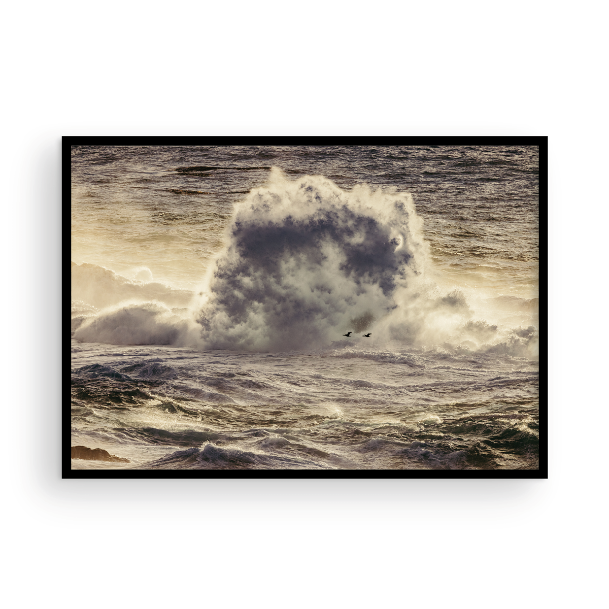 Winter Swell, Ten