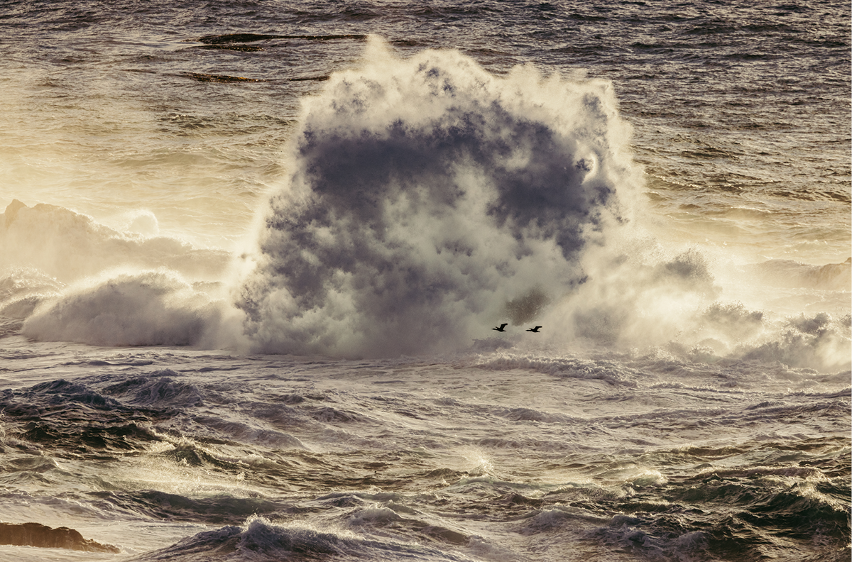Winter Swell, Ten