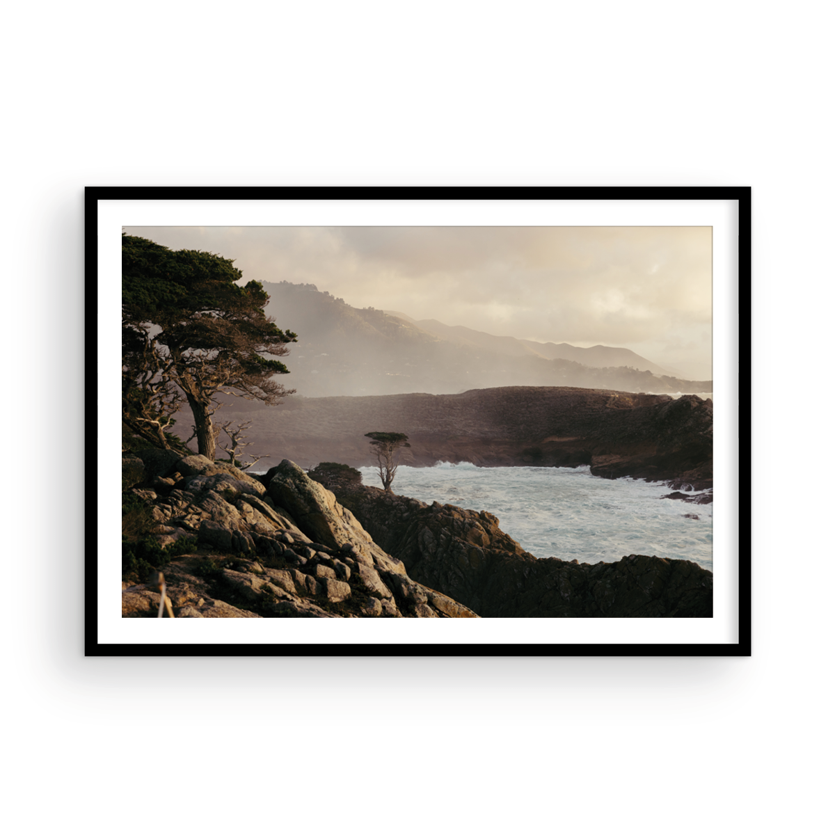 Point Lobos, Seven