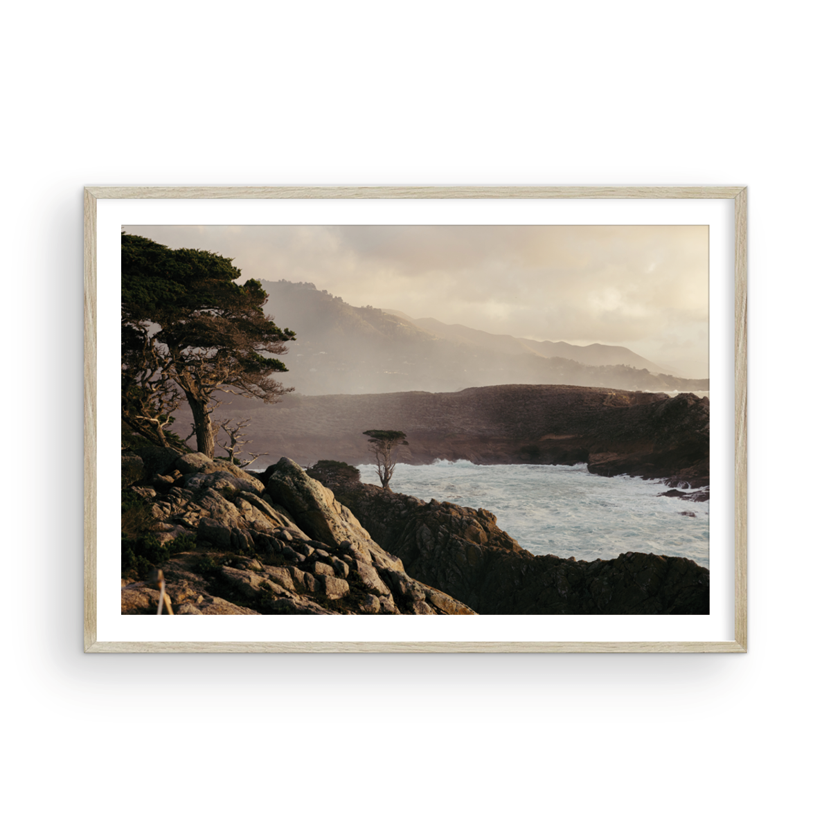 Point Lobos, Seven