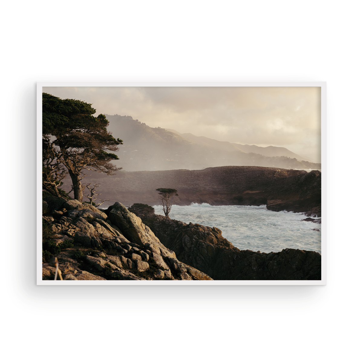 Point Lobos, Seven