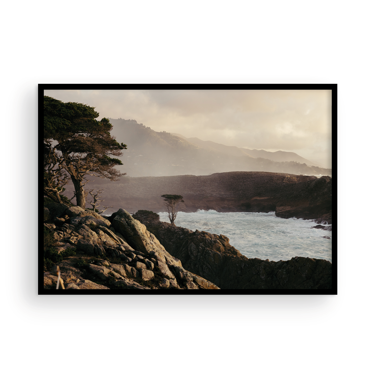 Point Lobos, Seven