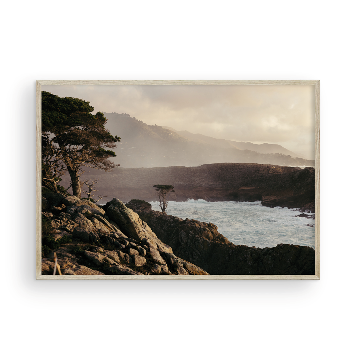 Point Lobos, Seven