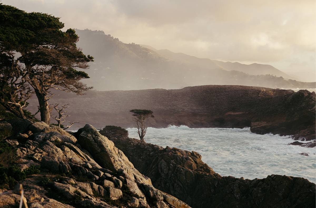 Point Lobos, Seven
