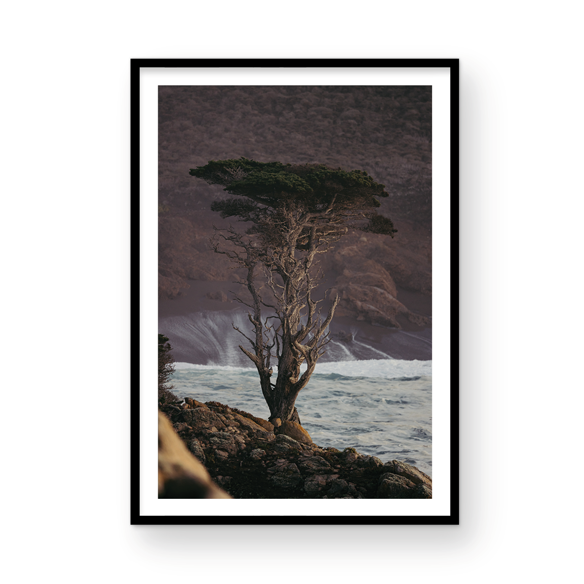 Point Lobos, Three