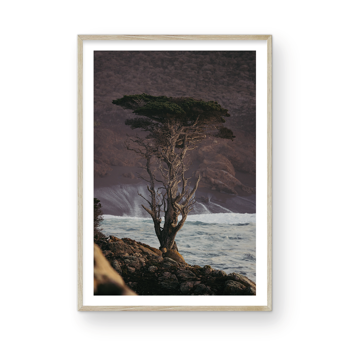 Point Lobos, Three