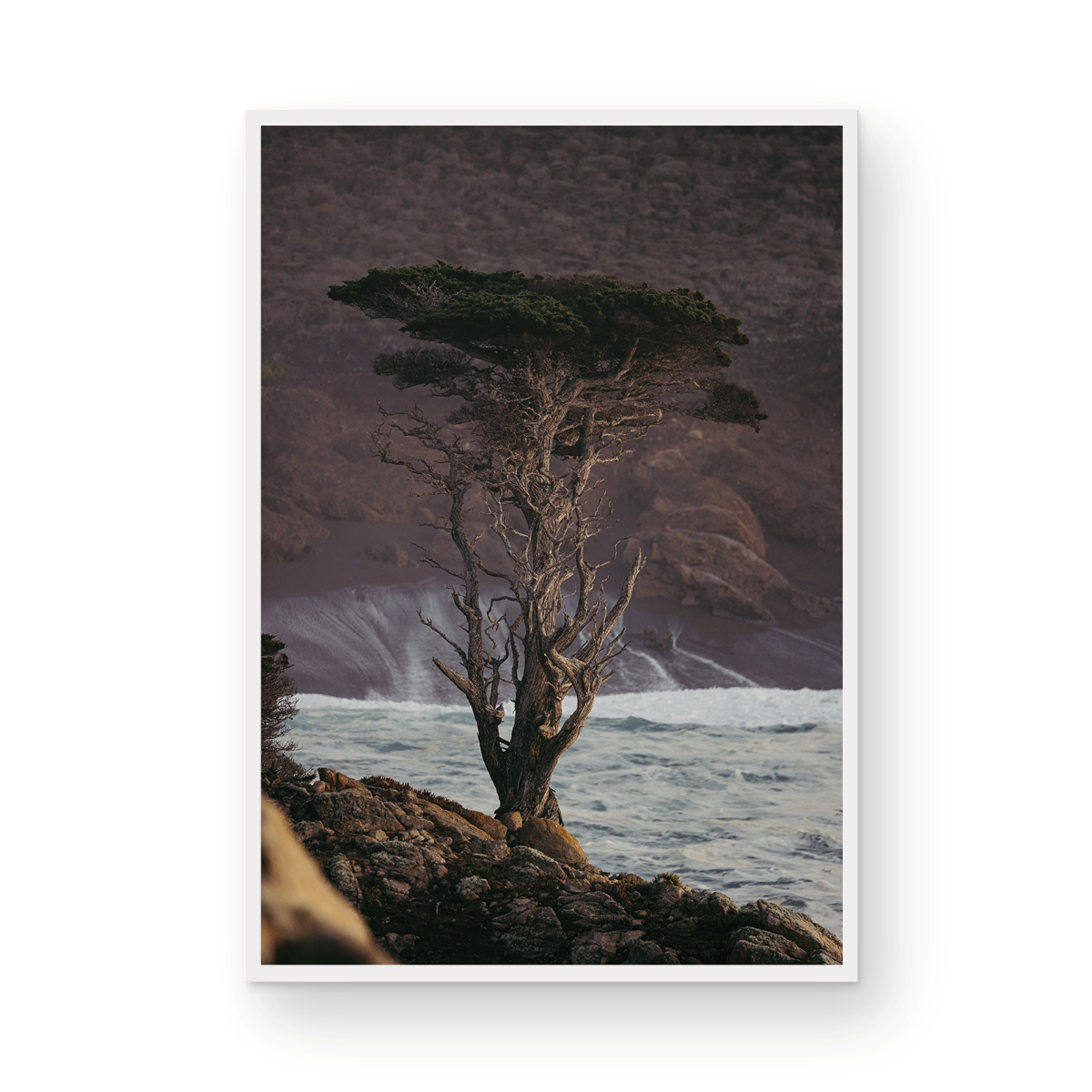 Point Lobos, Three