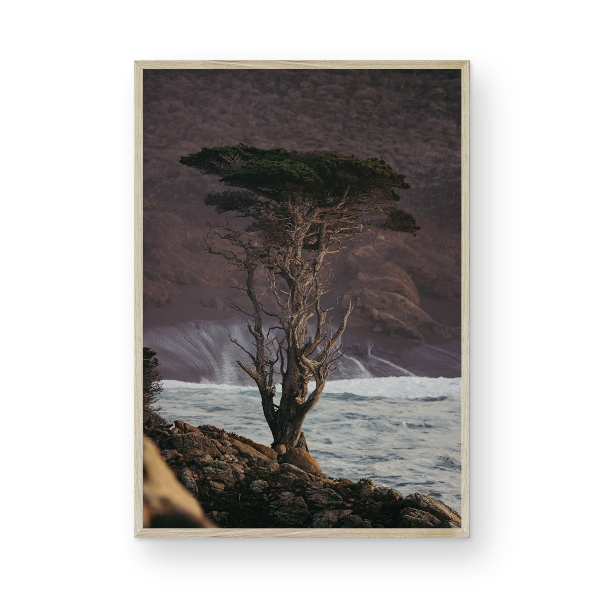 Point Lobos, Three