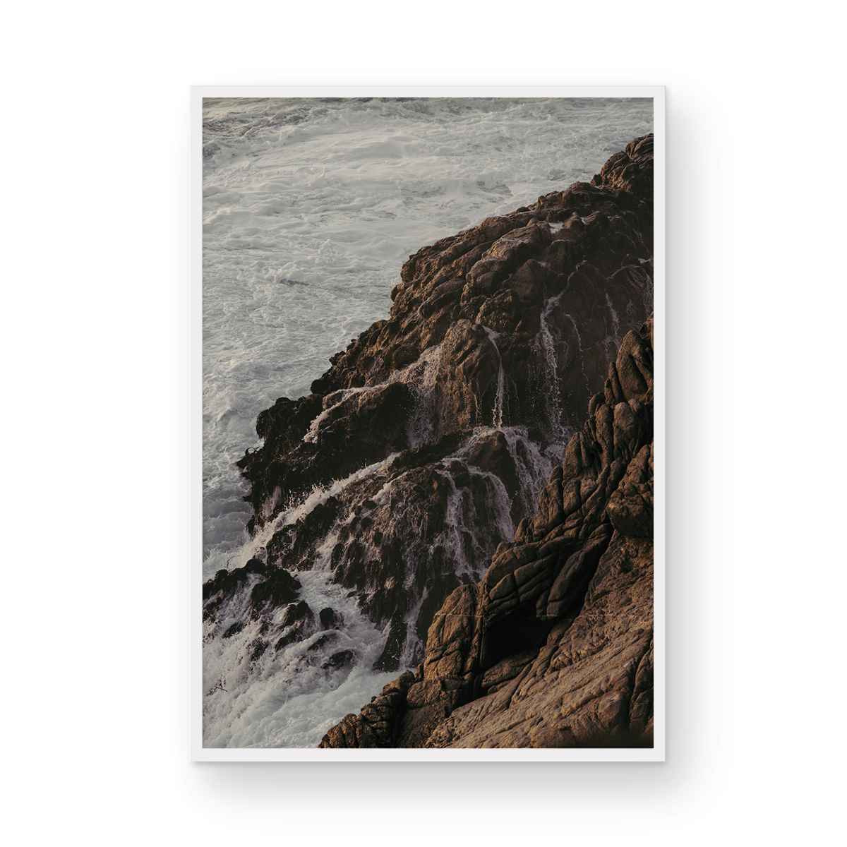 Point Lobos, Four