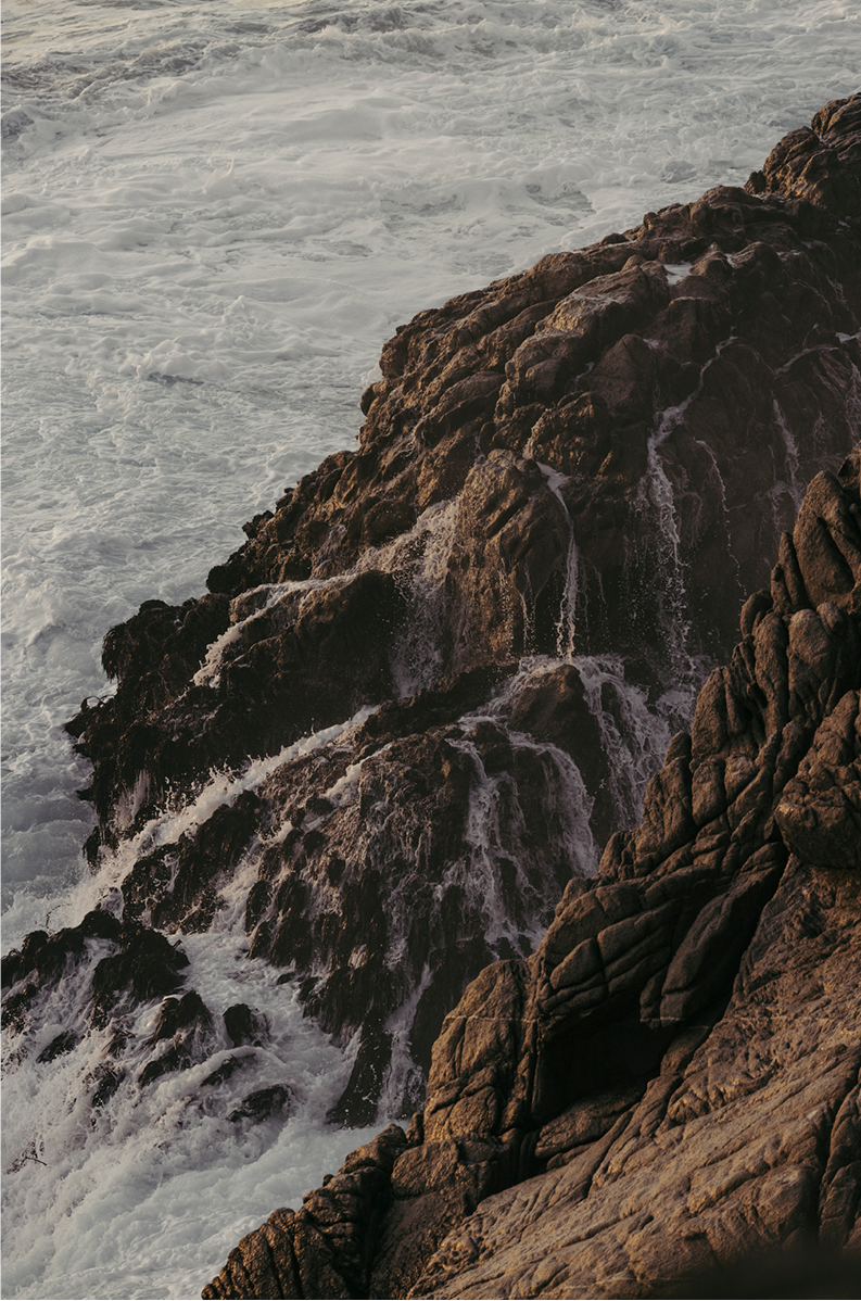 Point Lobos, Four