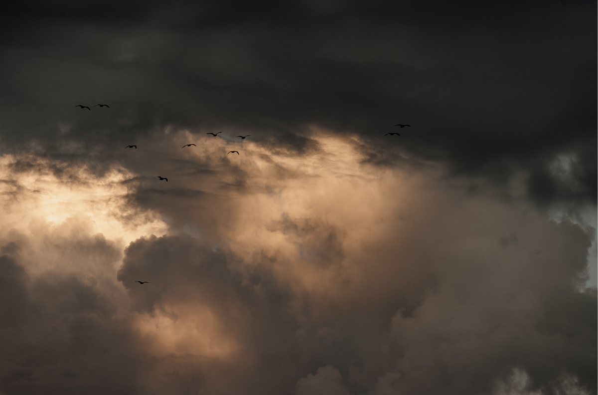 Cloud Study, Two