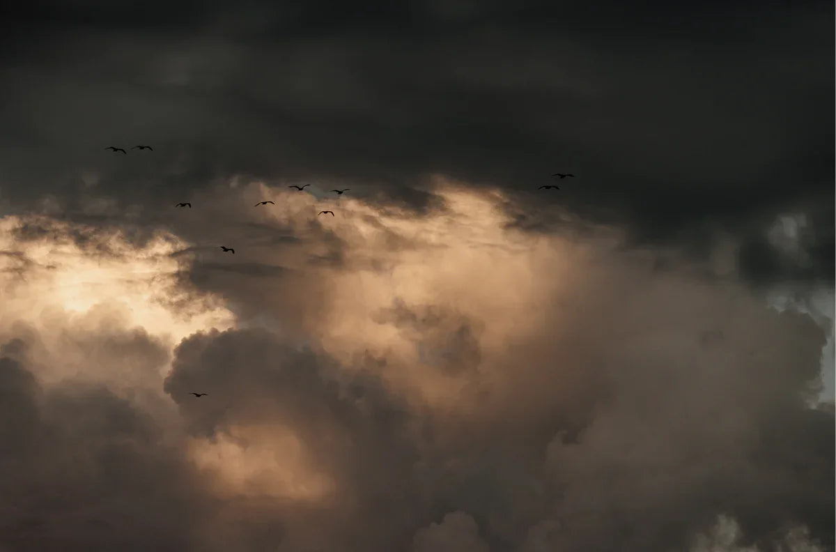 Cloud Study, Two