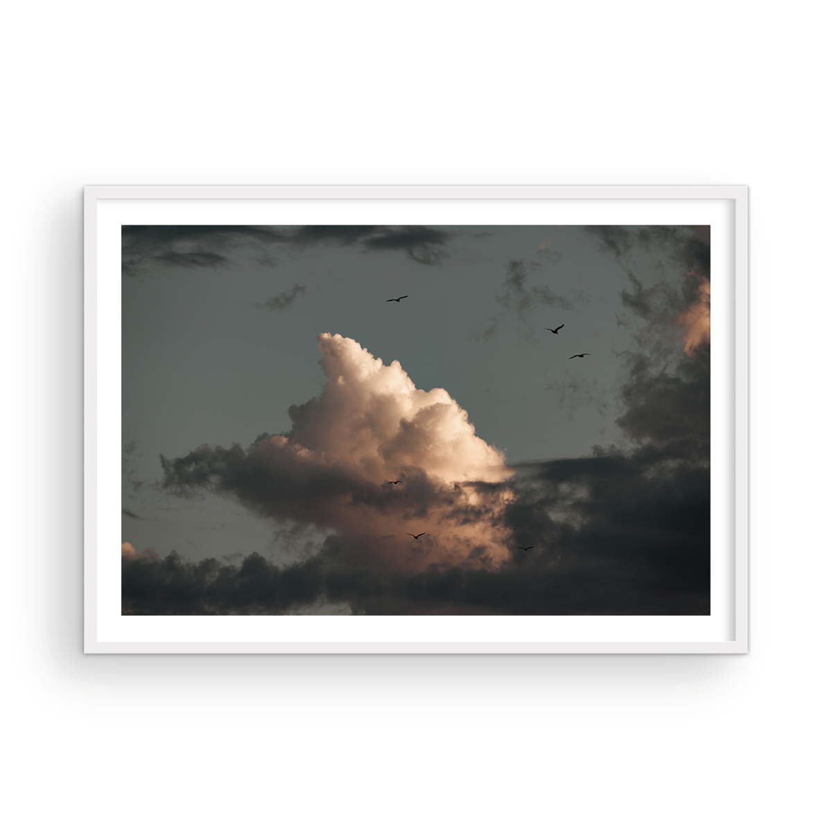 Cloud Study, One