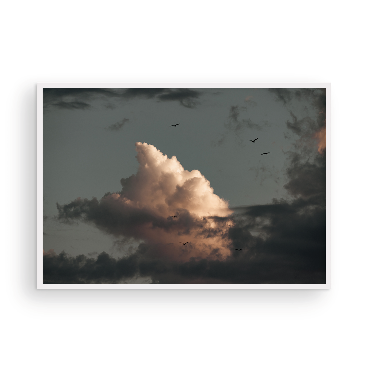 Cloud Study, One