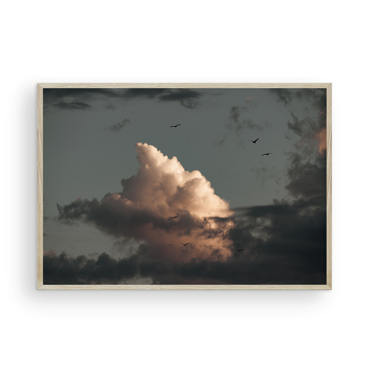 Cloud Study, One