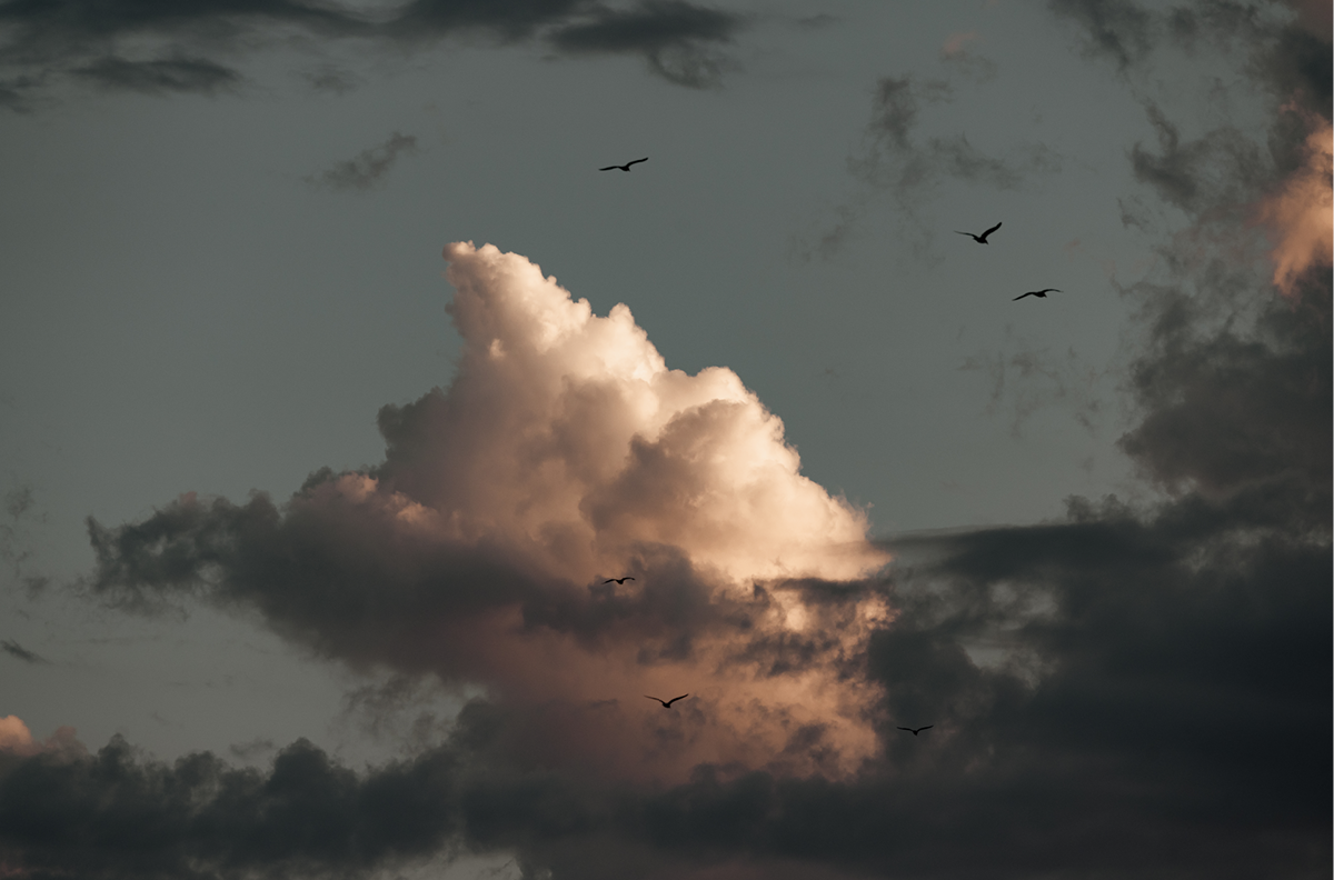 Cloud Study, One