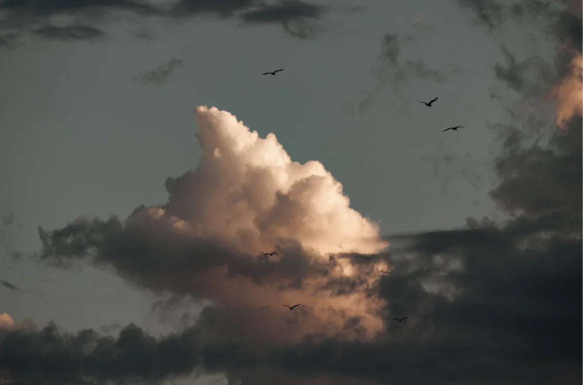 Cloud Study, One
