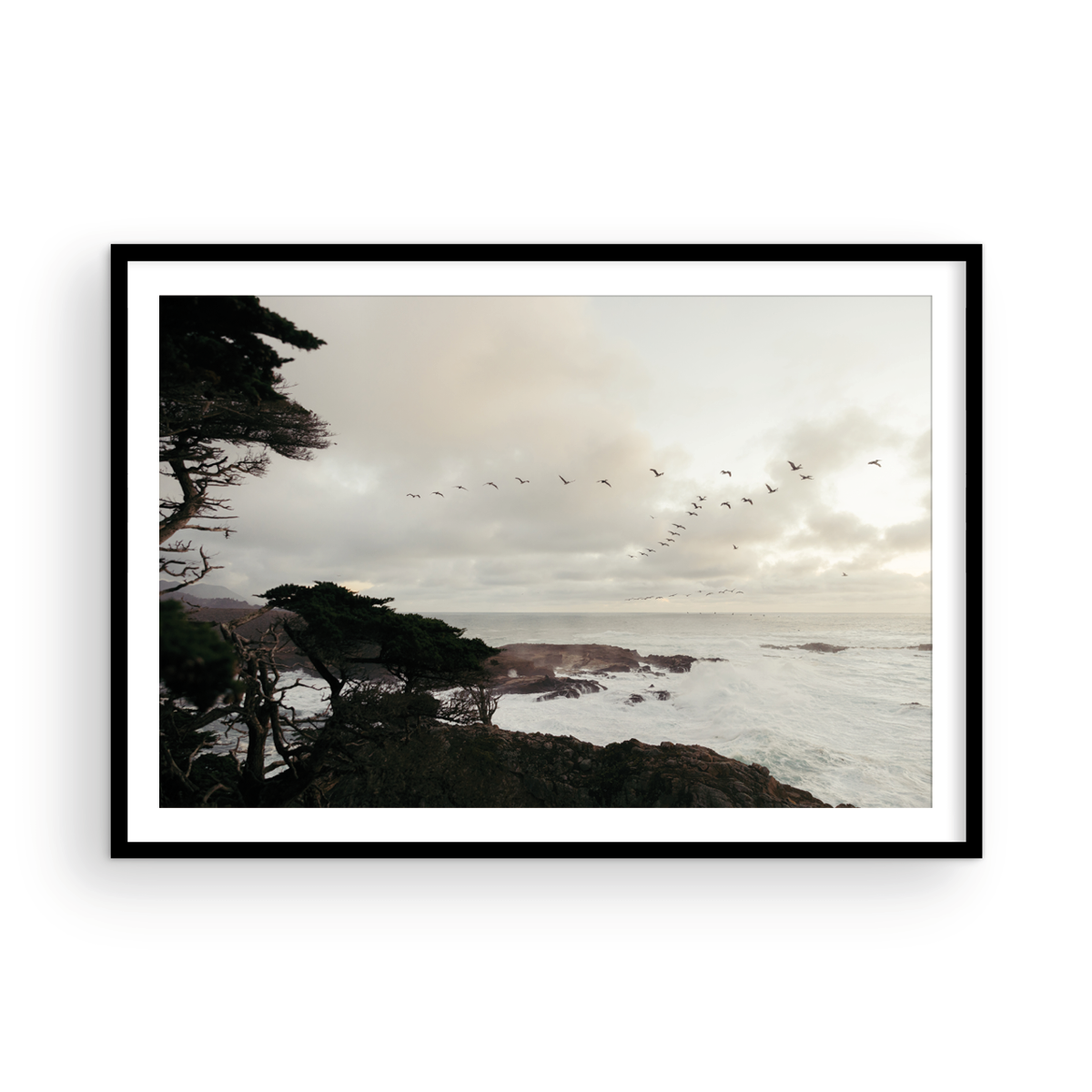 Point Lobos, Six