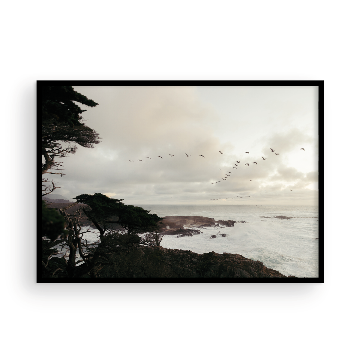 Point Lobos, Six