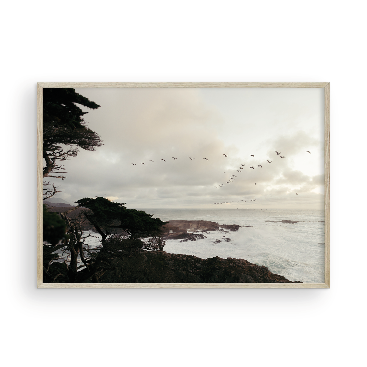 Point Lobos, Six